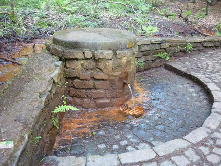 Longuicher Sauerbrunnen im Wald